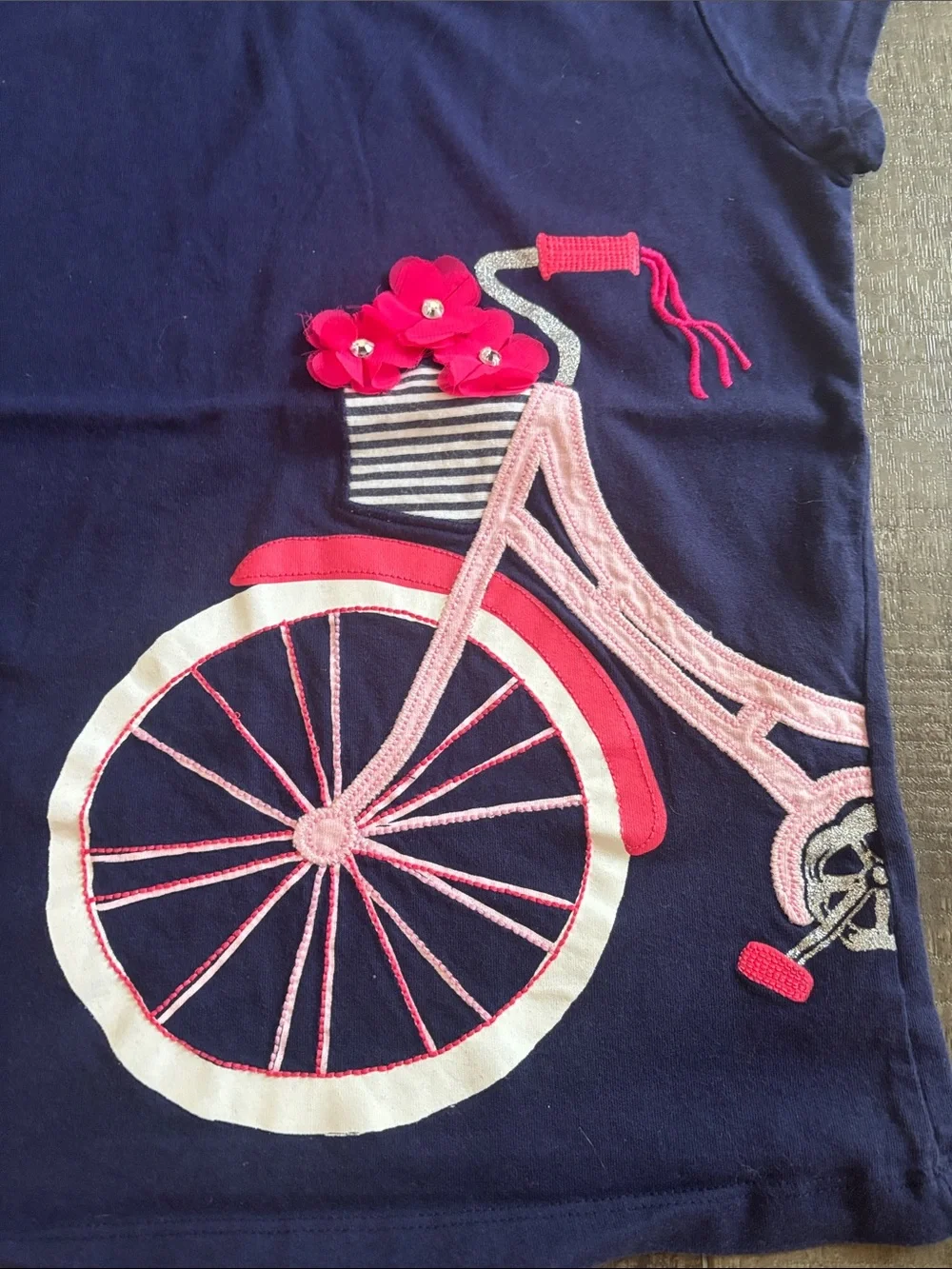 Gymboree Navy Tee with Pink Bicycle Graphic and shorts